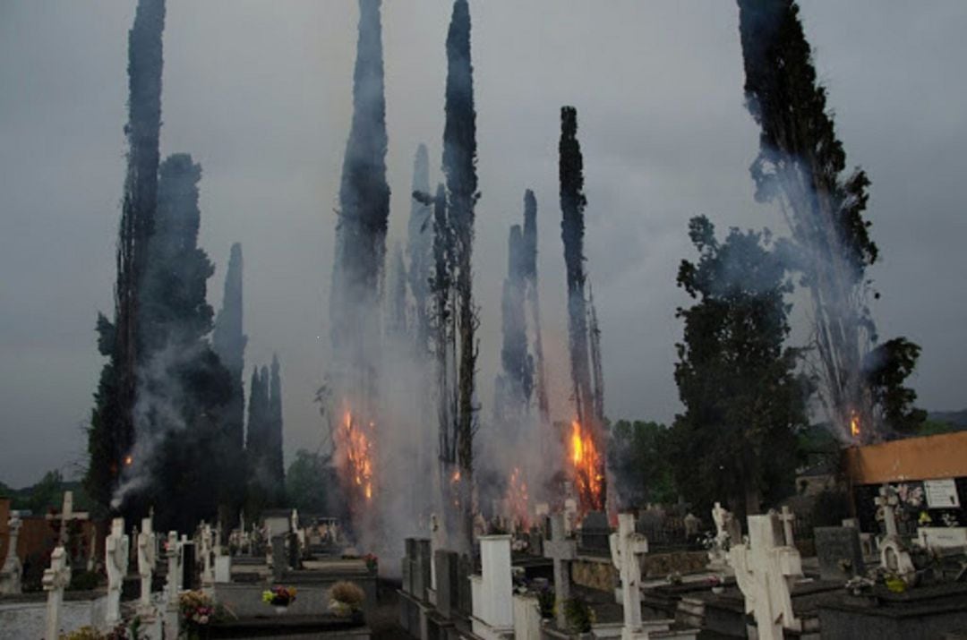 Los cipreses en el momento del incendio