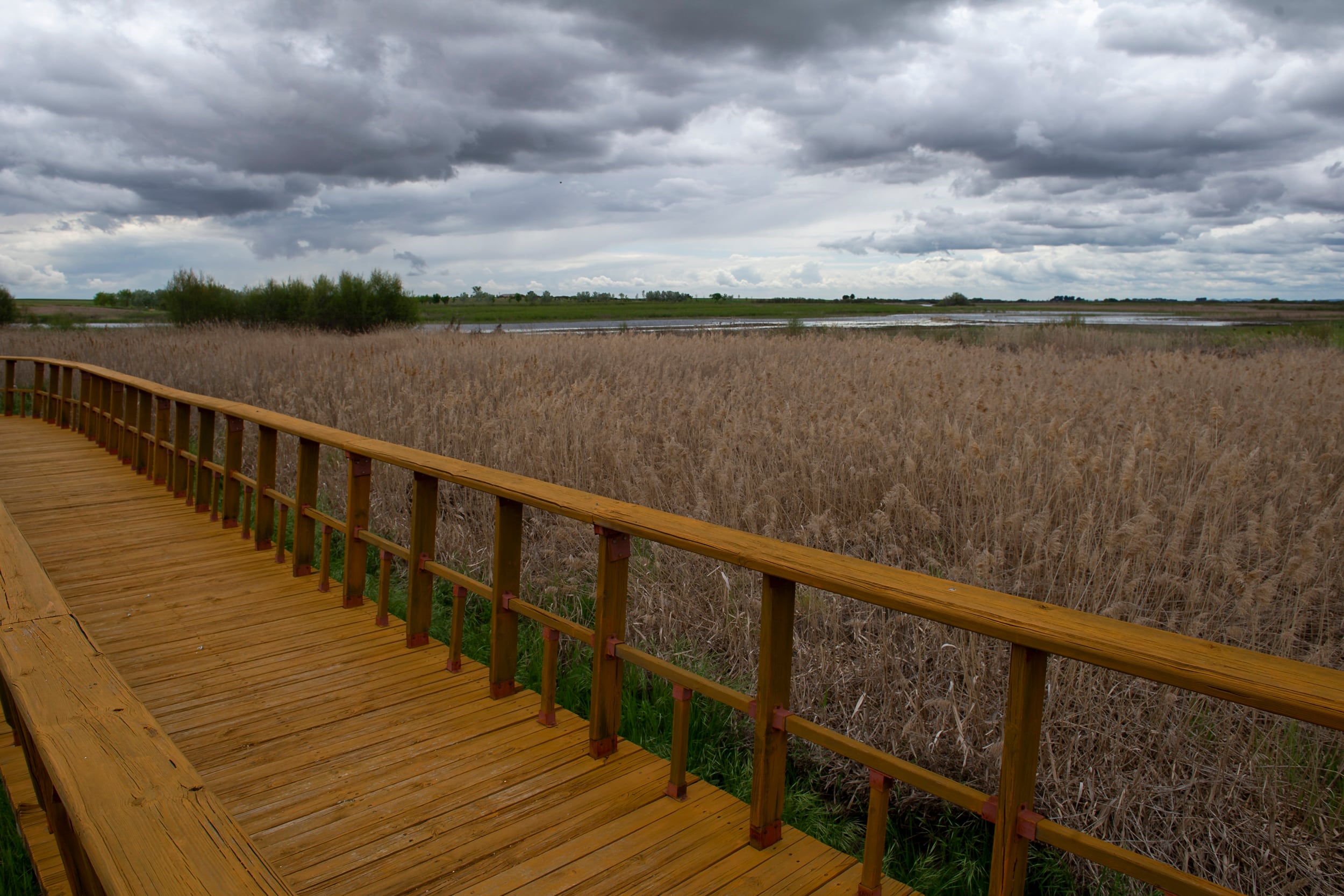 Imagen actual del Parque Nacional de Las Tablas de Daimiel, en la provincia de Ciudad Real