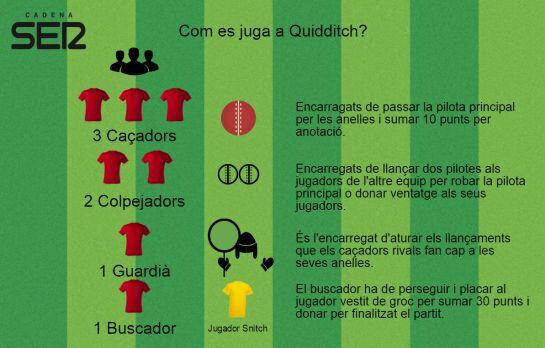 Infografia sobre les regles bàsiques de l'adaptació del Quidditch, l'esport de Harry Potter