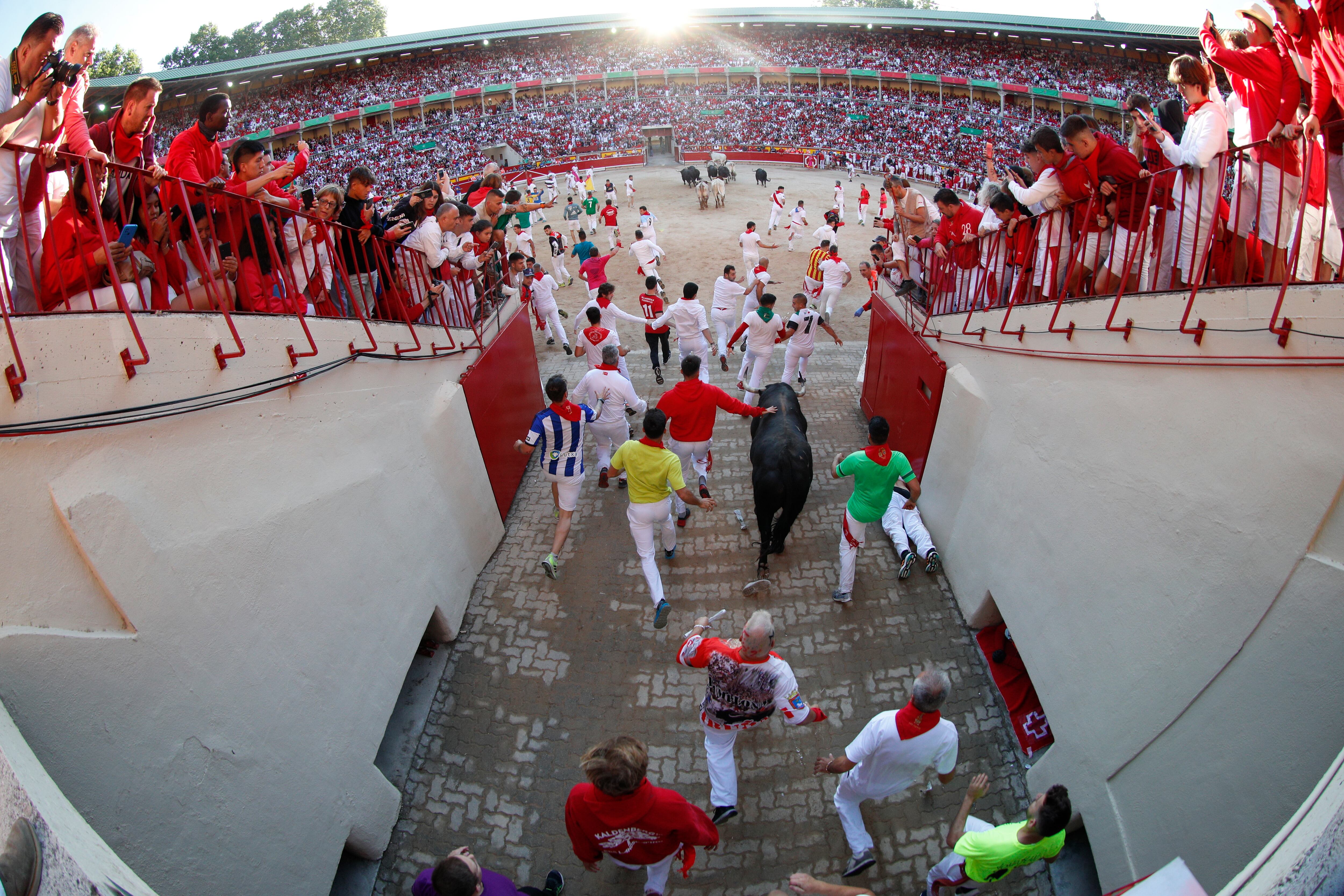 -FOTODELDIA- PAMPLONA, 08/07/2022.- Un toro rezagado de la ganadería gaditana de Fuente Ymbro entra en la plaza al término del segundo encierro de los Sanfermines 2022, una carrera que se ha alargado hasta los 3:10 minutos por el astado retrasado. EFE/Rodrigo Jiménez
