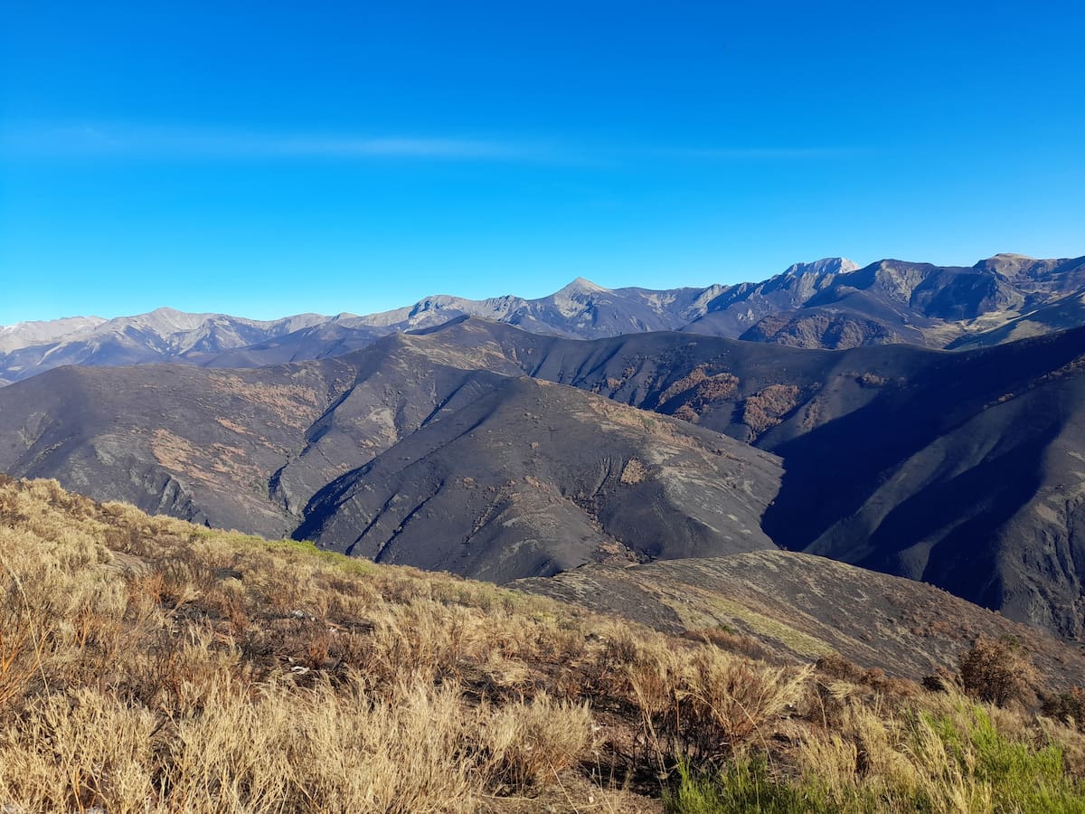 La huella de los incendios de los Picos de Europa leoneses medio año después