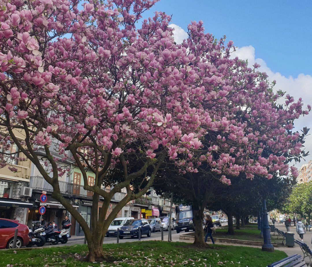 La primavera llega a España con predicción de más calor del normal.