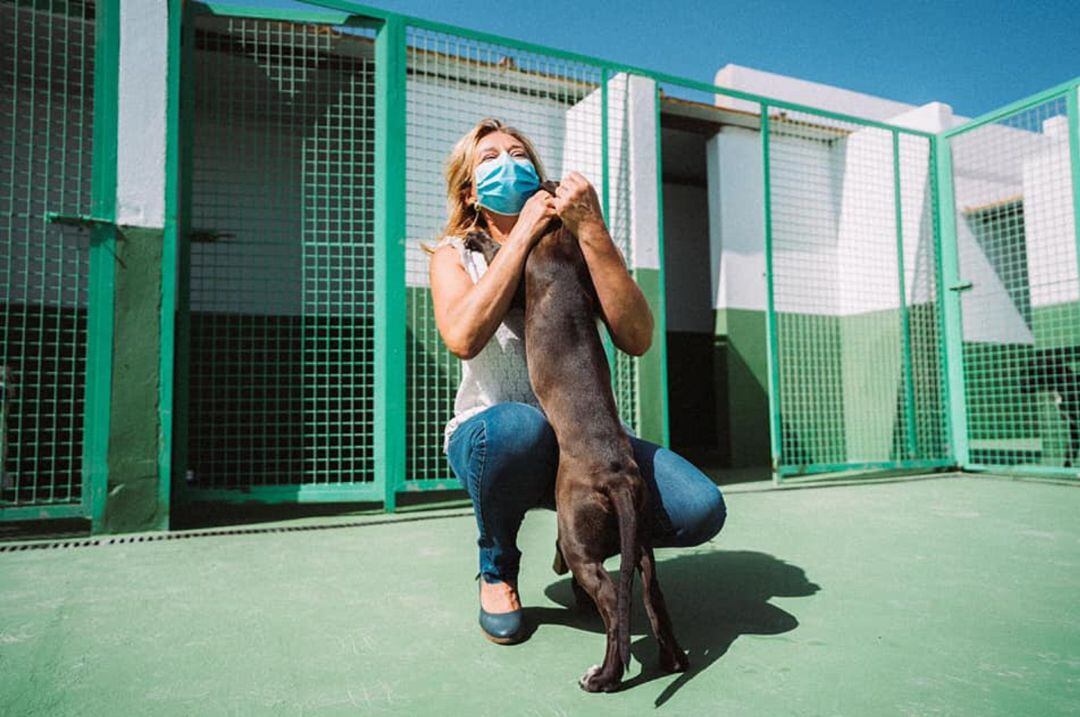 El servicio de recogida de perros abandonados en la vía pública funciona las 24 horas del día.