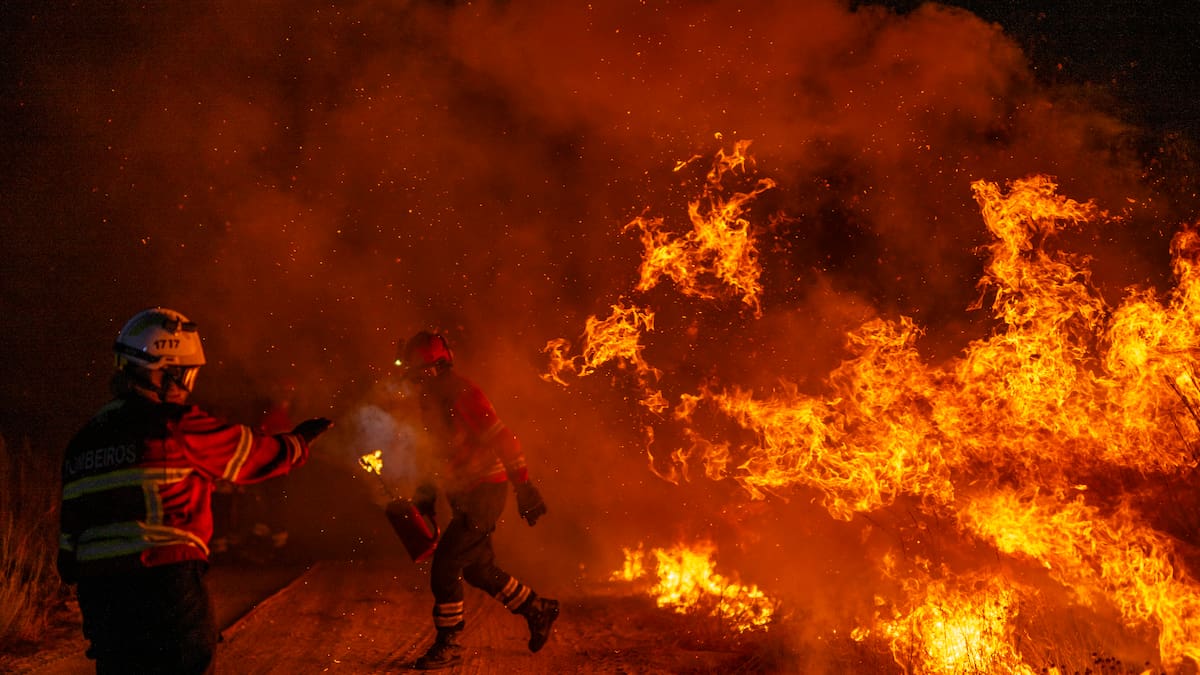 Más brigadas y una app para avisar de incendios: la Xunta aprueba el Pladiga tras la peor ola de fuegos de la historia