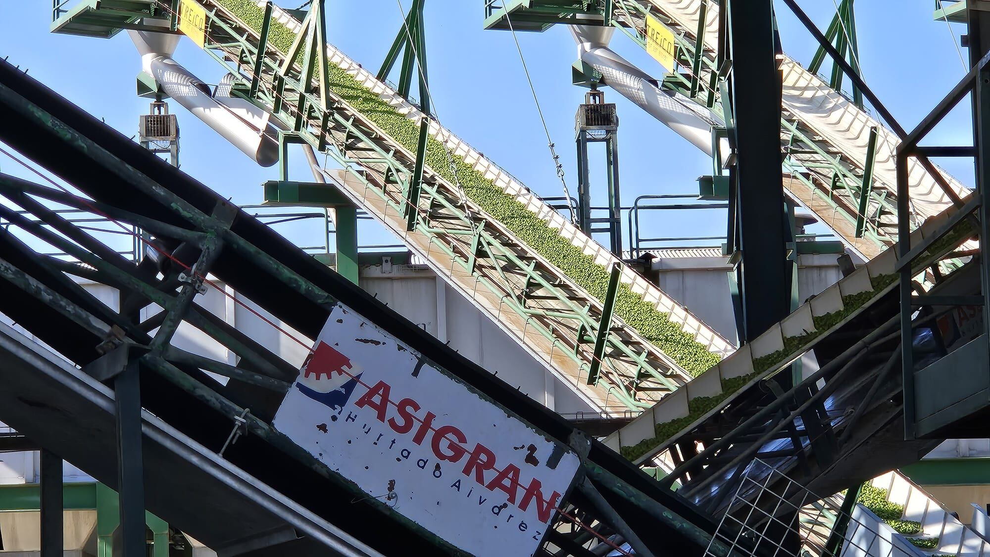 Momento del proceso de recepción, por las cintas de traslado