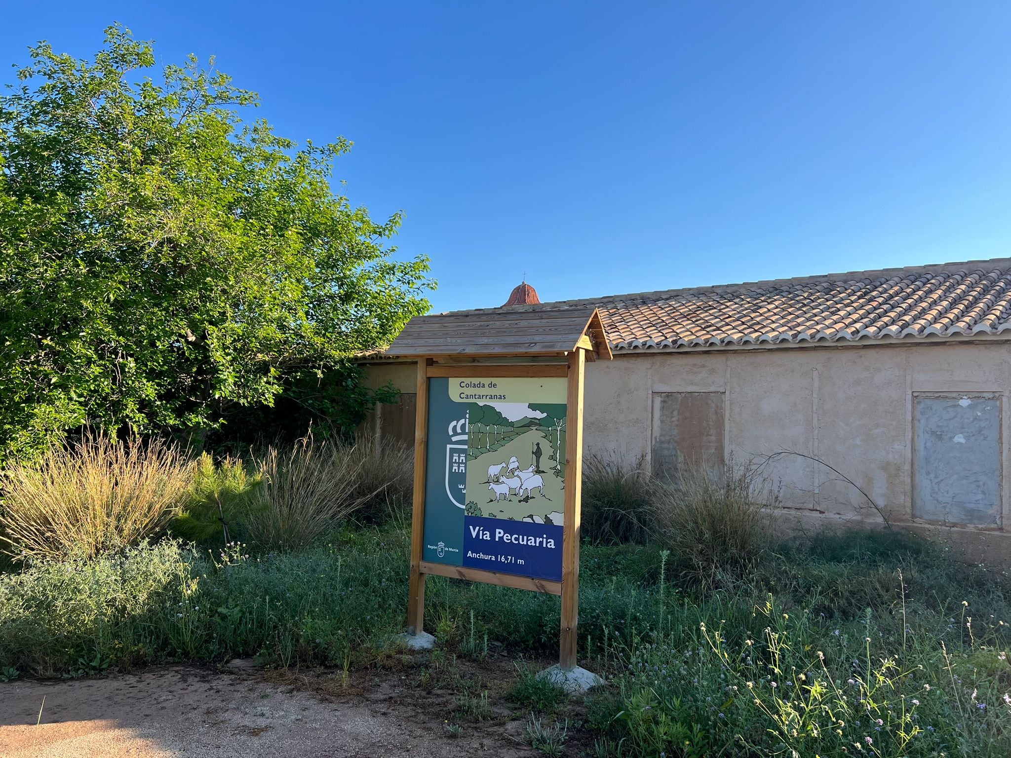 Secretos, leyendas y milagros ocultos bajo los escombros de San Ginés de la Jara