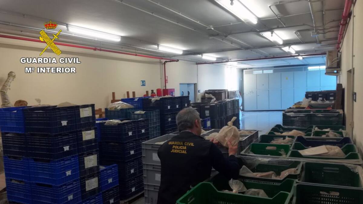 Recuperan 80.000 piezas arqueológicas en una nave industrial abandonada en Lorca