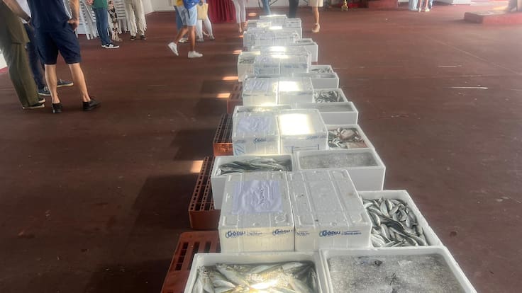 Entrevista patrón de la Cofradía de pescadores de Cartagena, Bartolomé Navarro