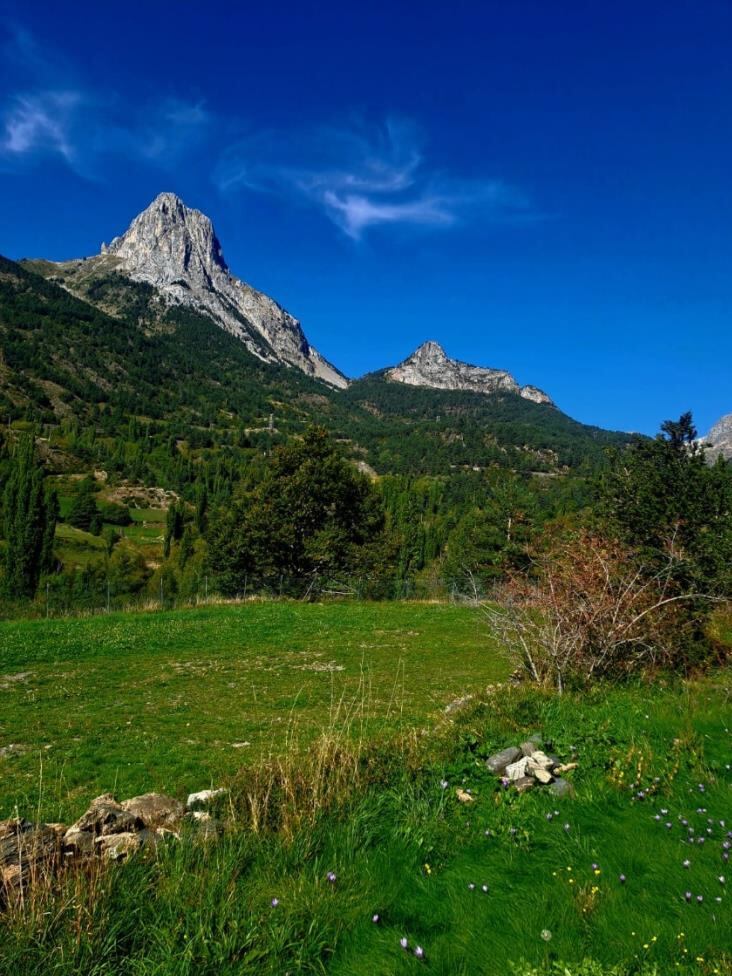 La parcela se ubica junto al colegio y el polideportivo municipal y cuenta con una superficie de 2.816 m2.