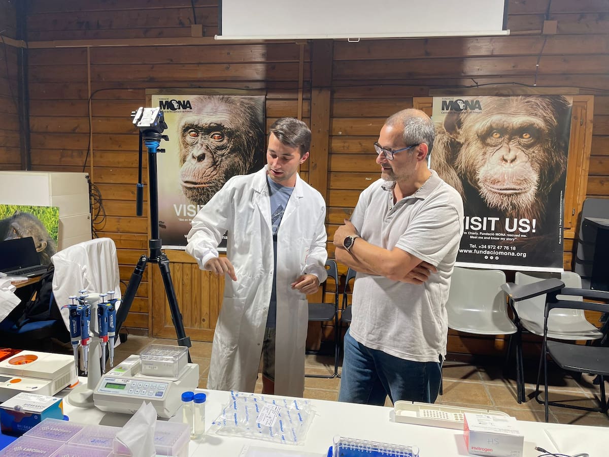 Un test genètic pioner permet identificar l'origen dels ximpanzés víctimes del tràfic il·legal