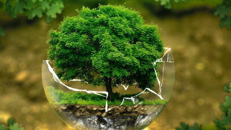 Entrevista con Yayo Herrero Antròpologa y ecofeminista (26/09/2020)