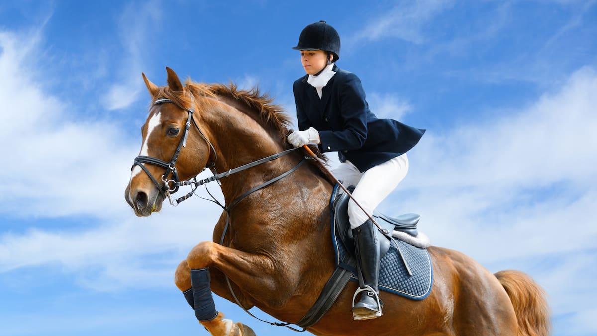 Nuevo intento del Ayuntamiento de Ávila de sacar adelante el Concurso Hípico