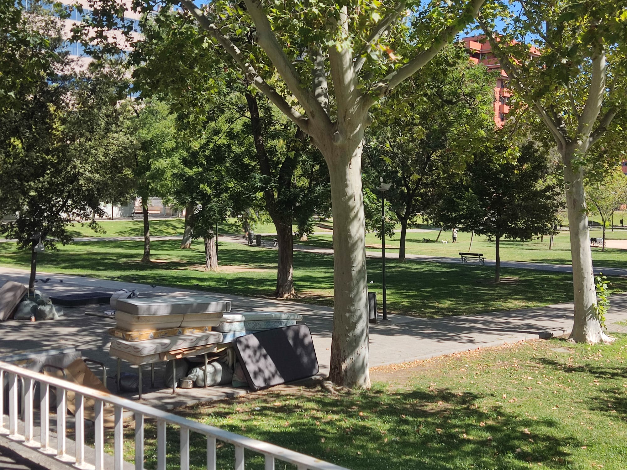 Imagen de archivo del Parque Bruil 