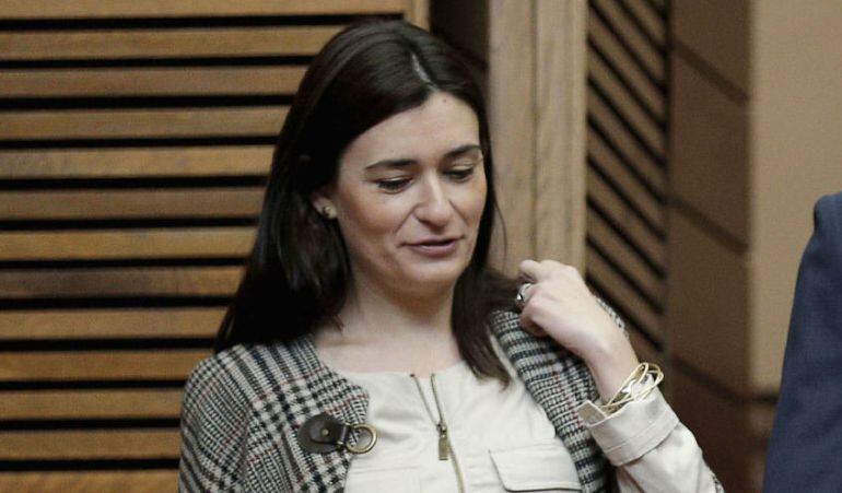 La consellera de Sanidad, Carmen Montón, a su llegada al pleno de Les Corts