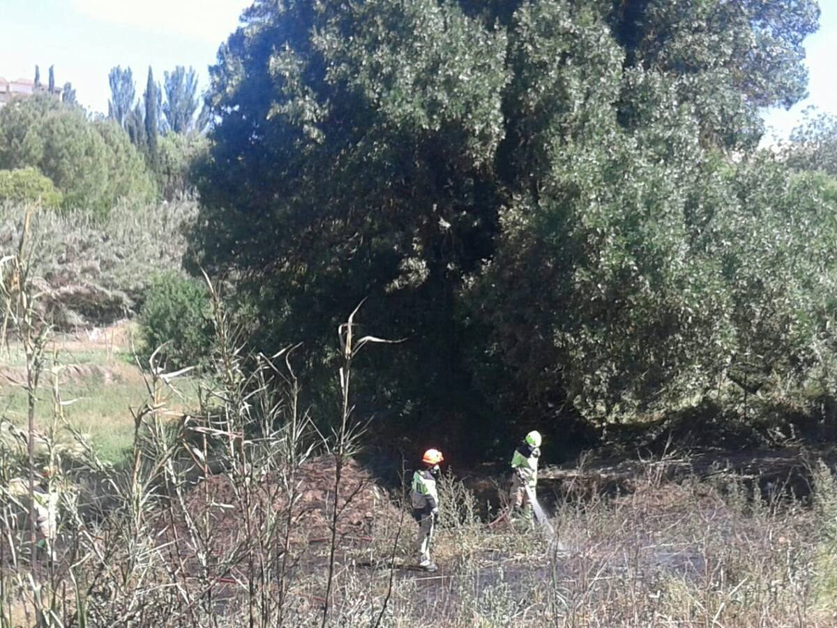 Un incendio quema una zona de monte bajo, cerca de la Plaza de España de Barbastro
