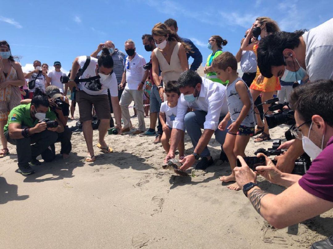 Devuelven al mar diez ejemplares de tortuga boba de los nacidos el pasado verano en playas de La Manga