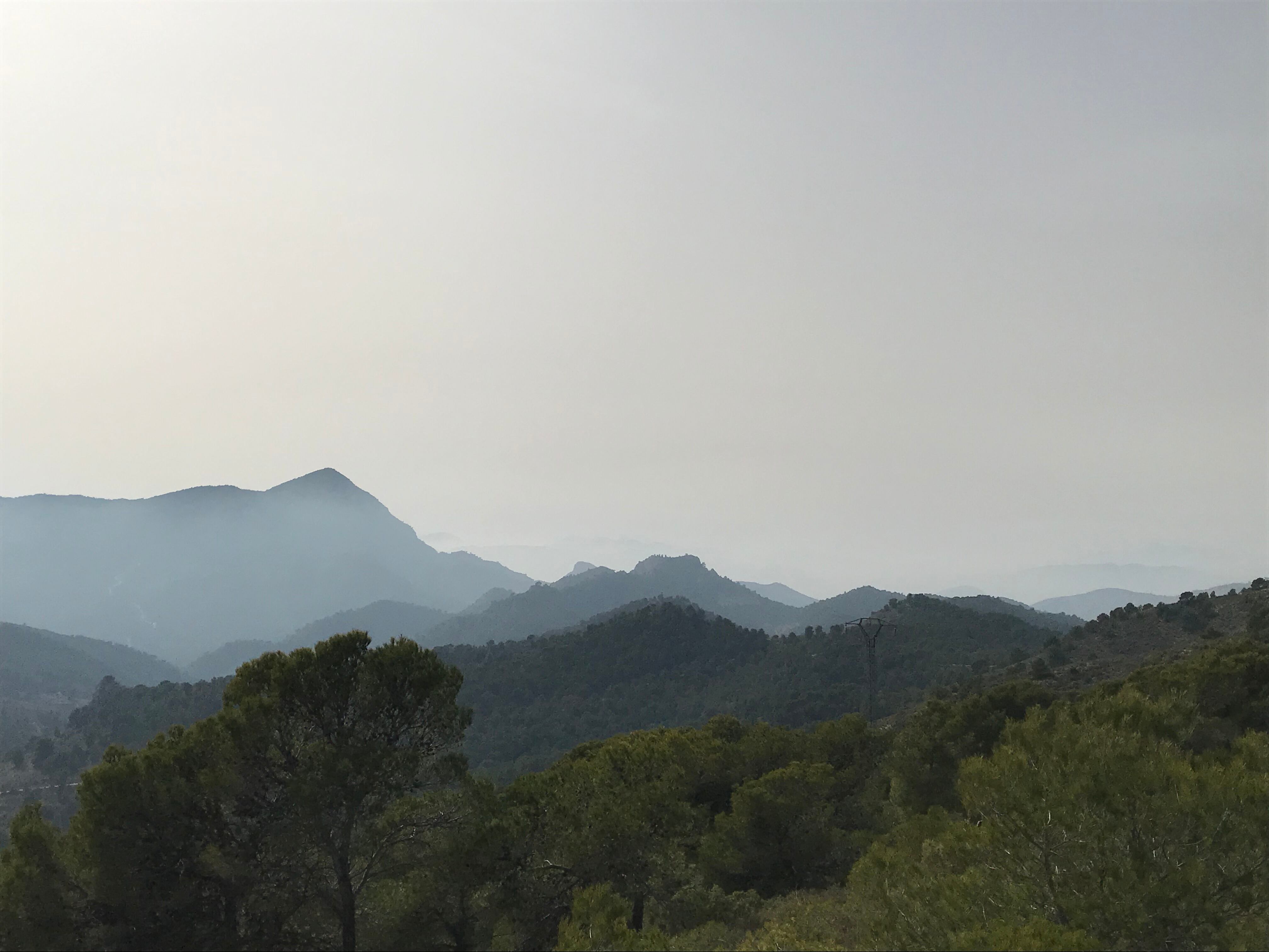 Alto riesgo de incendios 