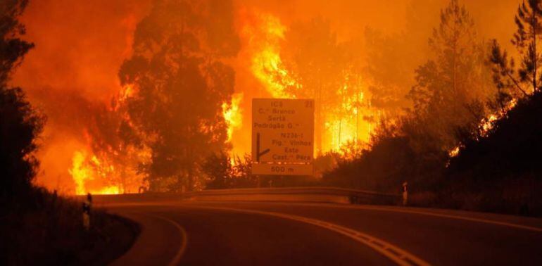 Una imagen de los incendios de Portugal