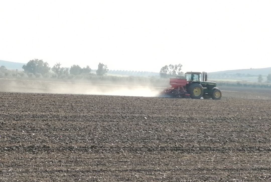 Un agricultor trabaja con su tractor en el campo.