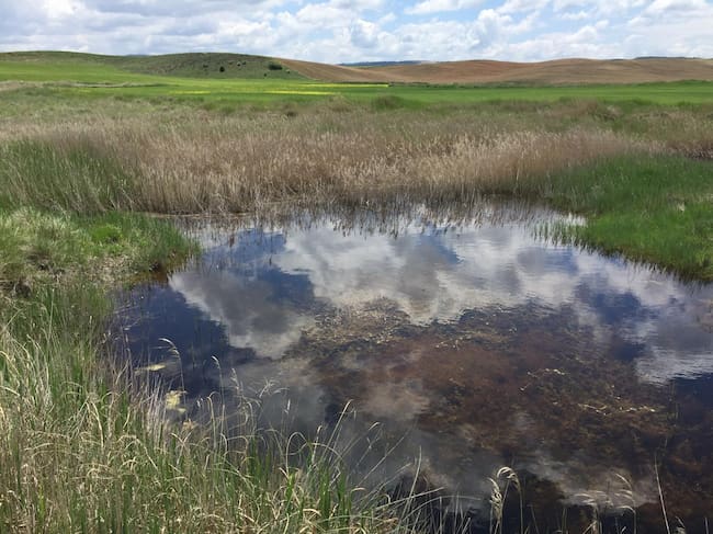 Lagunas de Ballesteros.