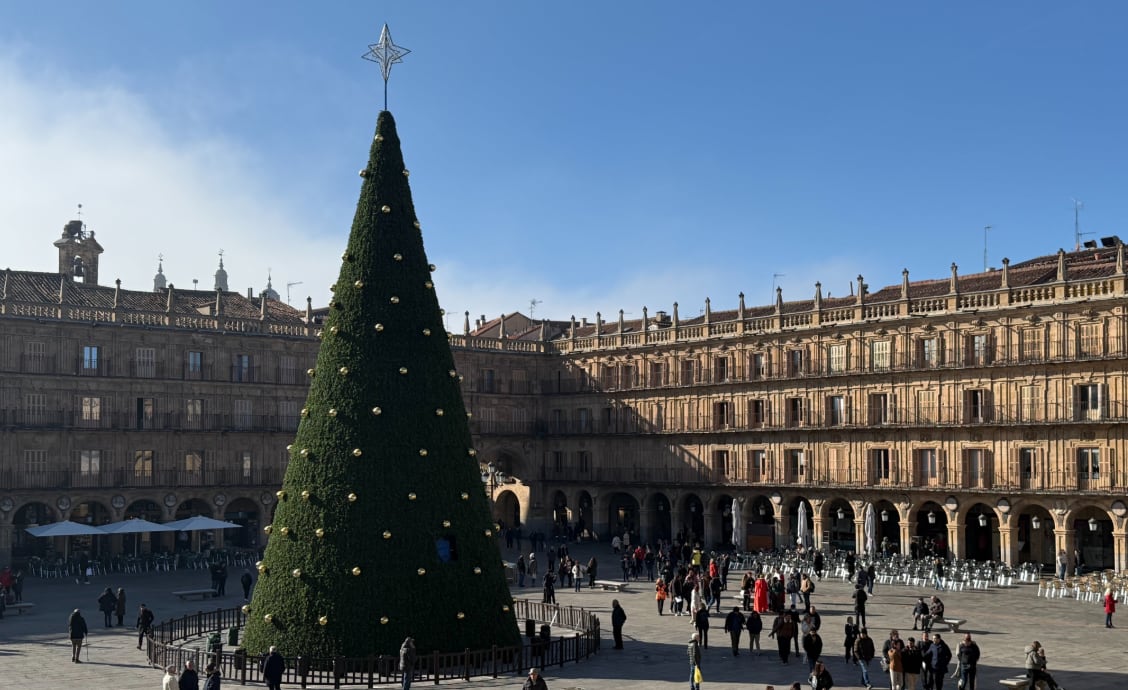 Árbol navideño en Salamanca | @AytoSalamanca