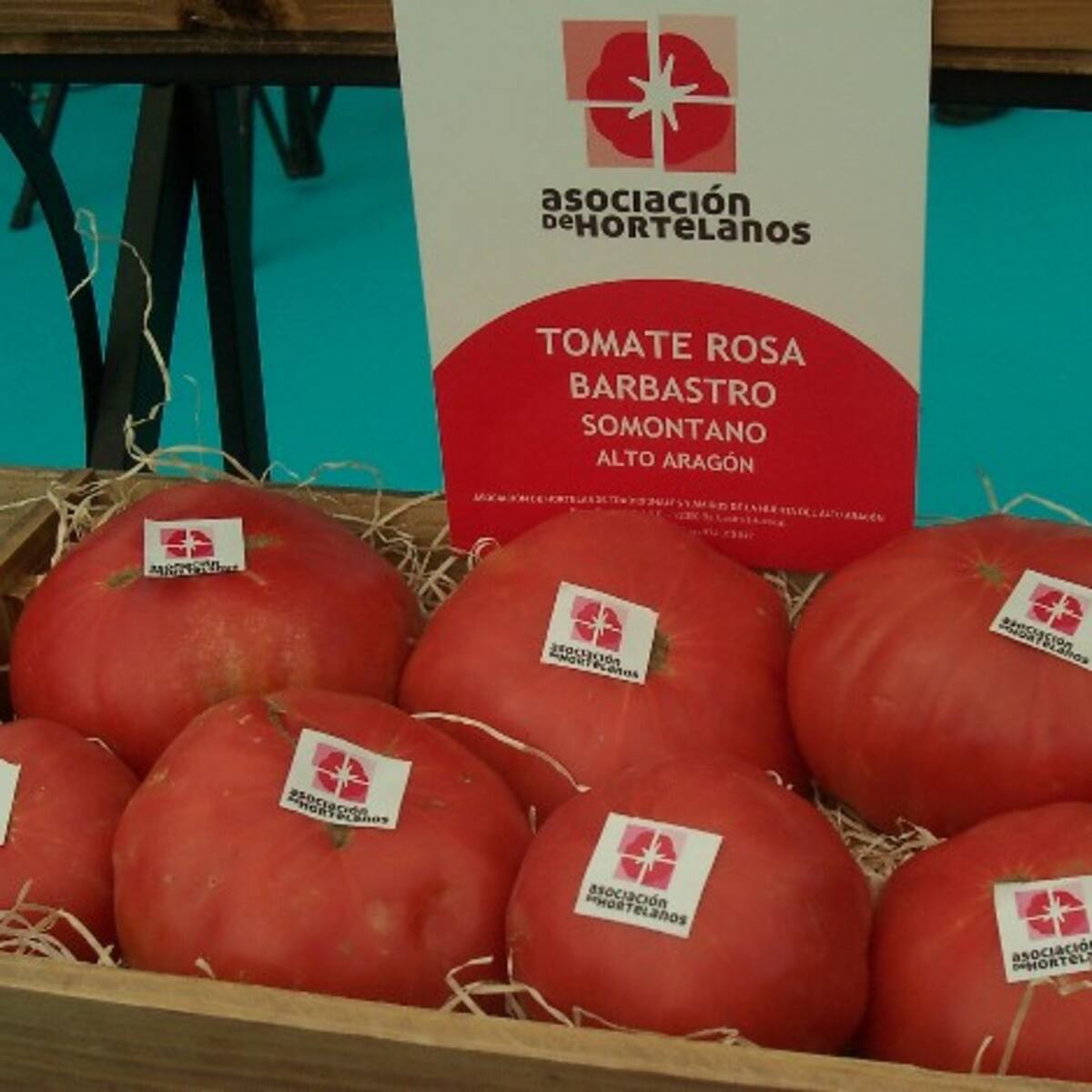La productores del Tomate Rosa de Barbastro estiman una campaña de 2,6 millones de kilos