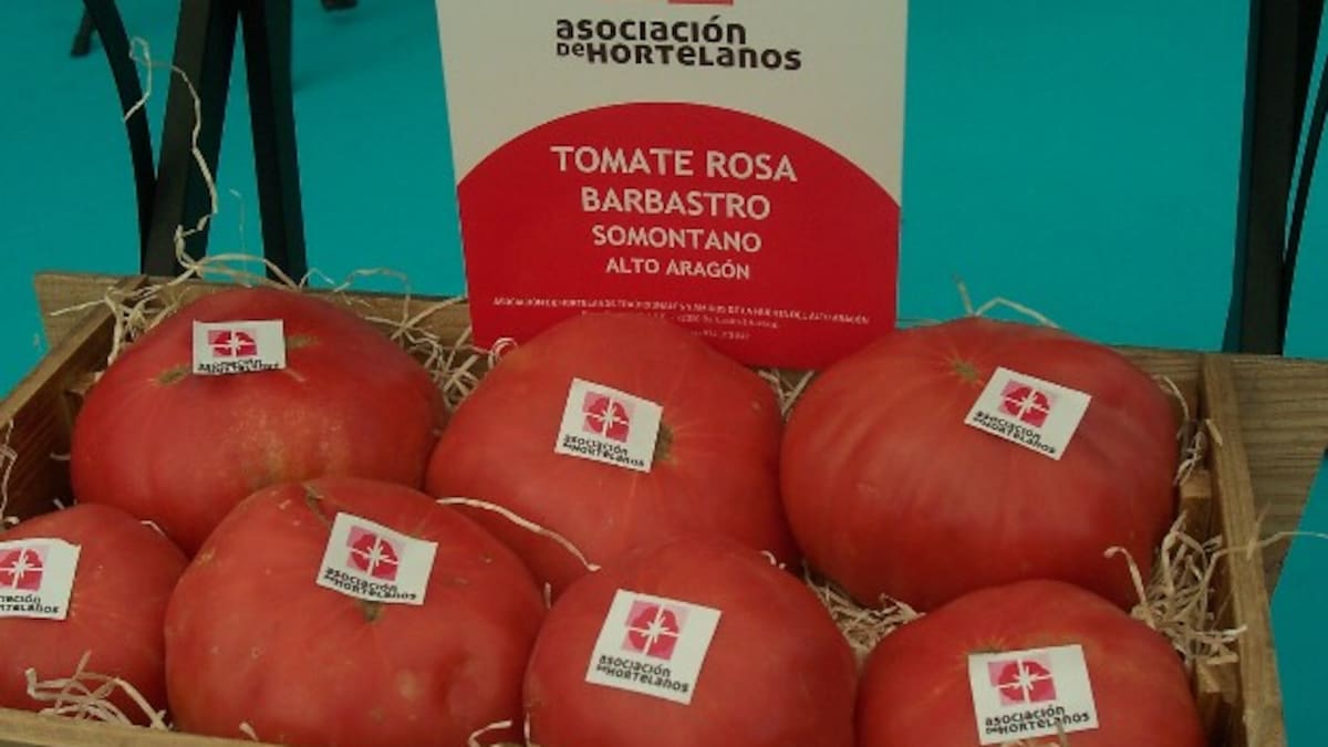 Degusta Aragón. Ingredientes: festivales de verano, tomate rosa, Grupo Enigma y fiestas de la vendimia - Hoy por Hoy Zaragoza (10/05/2024)