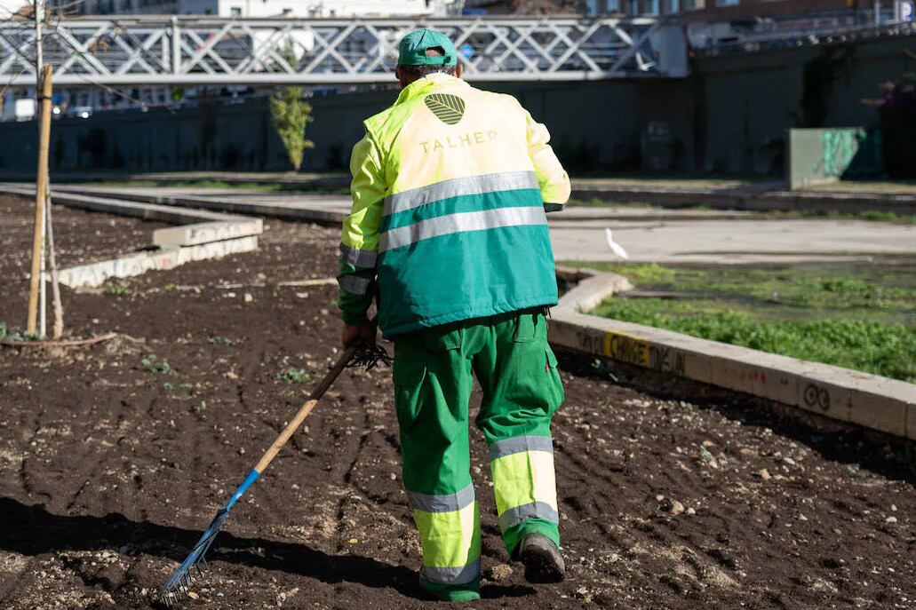 Proyecto de siembra de praderas en el tramo final del río Guadalmedina