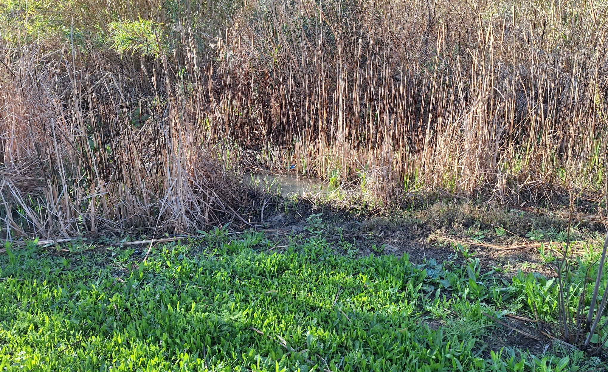 Río Guadalhorce a su paso por Pizarra