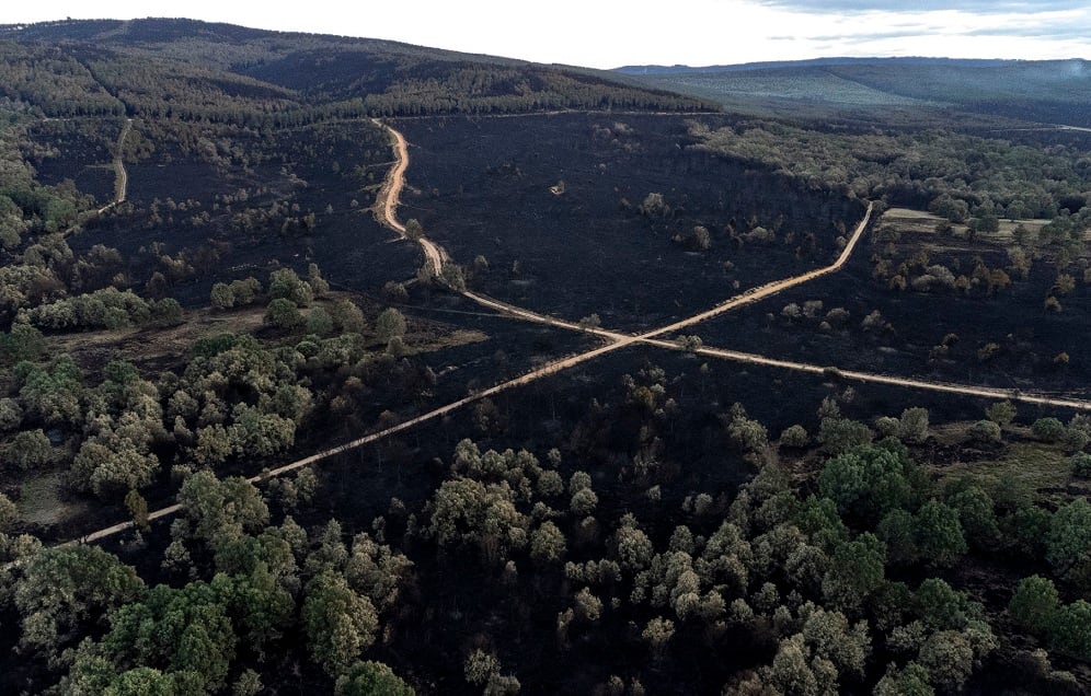 Sierra de la Culebra tras el incendio