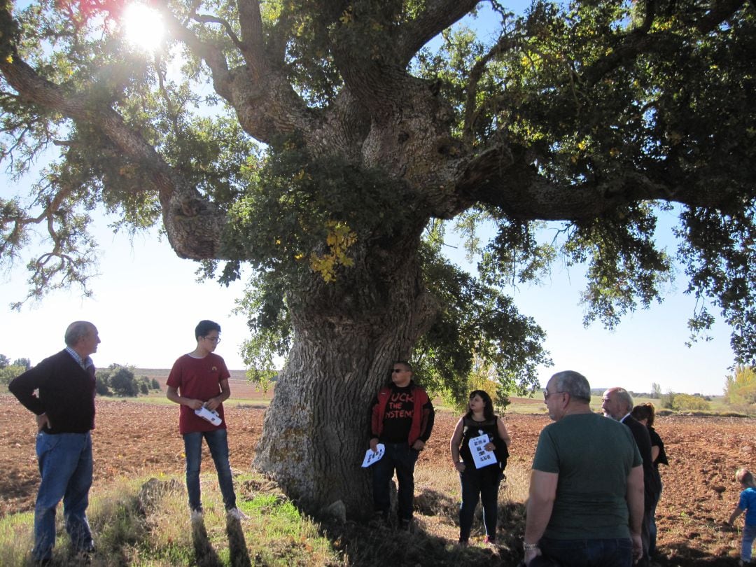 La riqueza natural es uno de los puntos fuertes de las rutas del programa Ribera Voluntariis