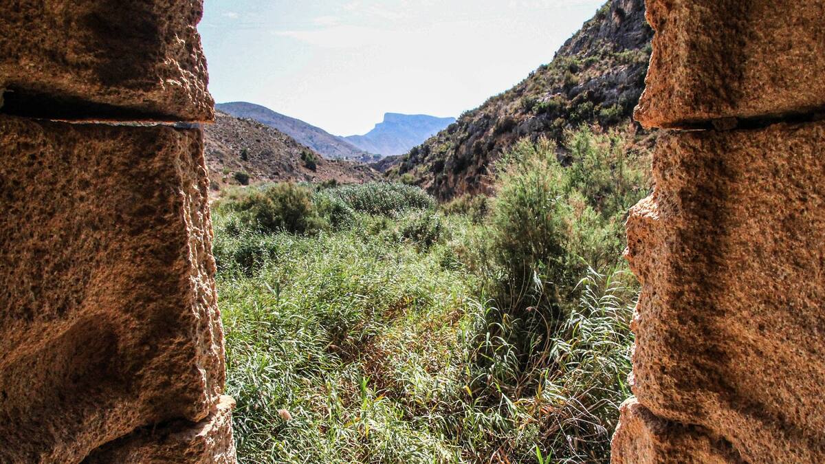 Elda pone en marcha un nuevo sendero de acceso al Paraje Natural del Pantano