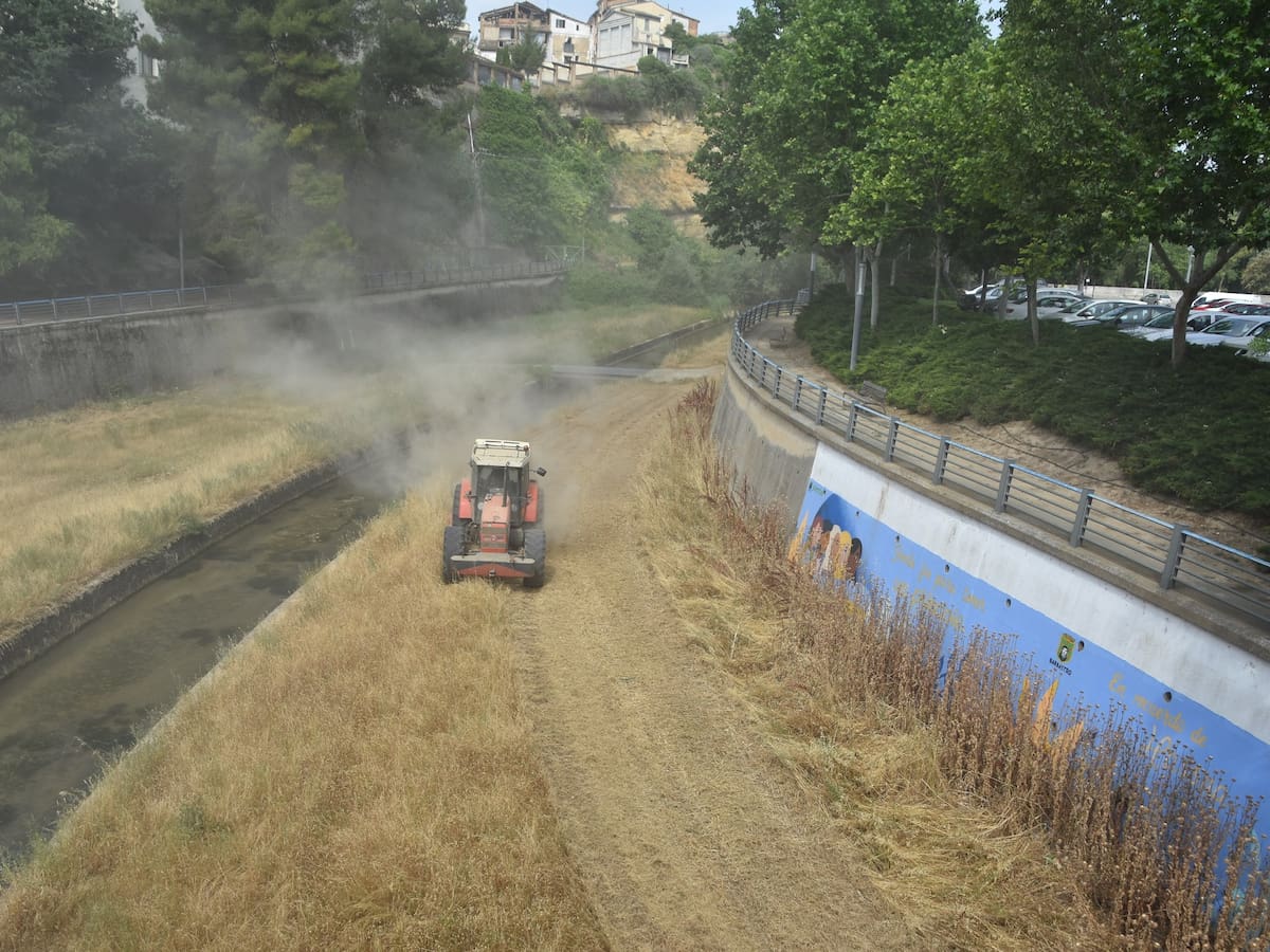 Barbastro inicia las tareas de desbroce del río Vero