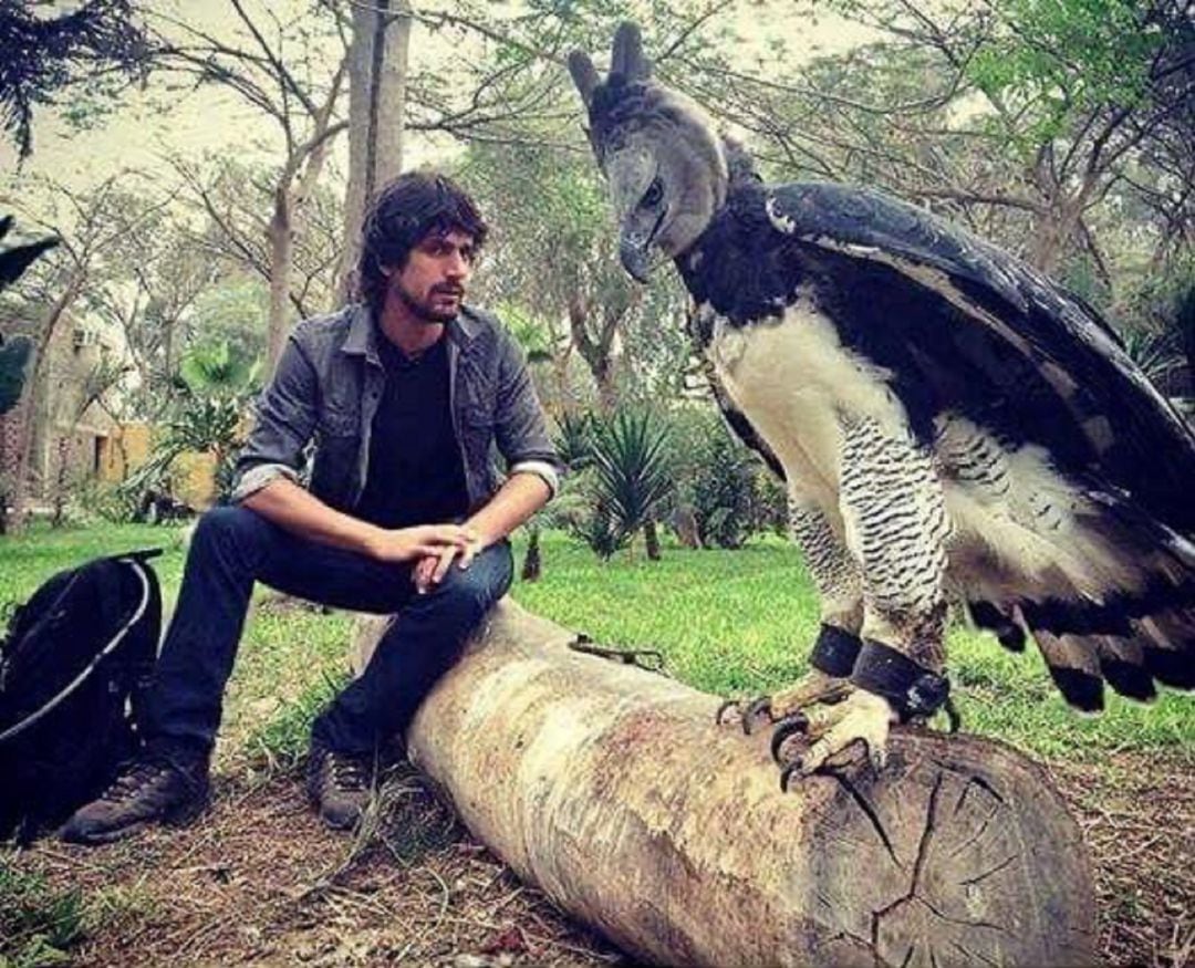 Un joven junto a un águila harpía