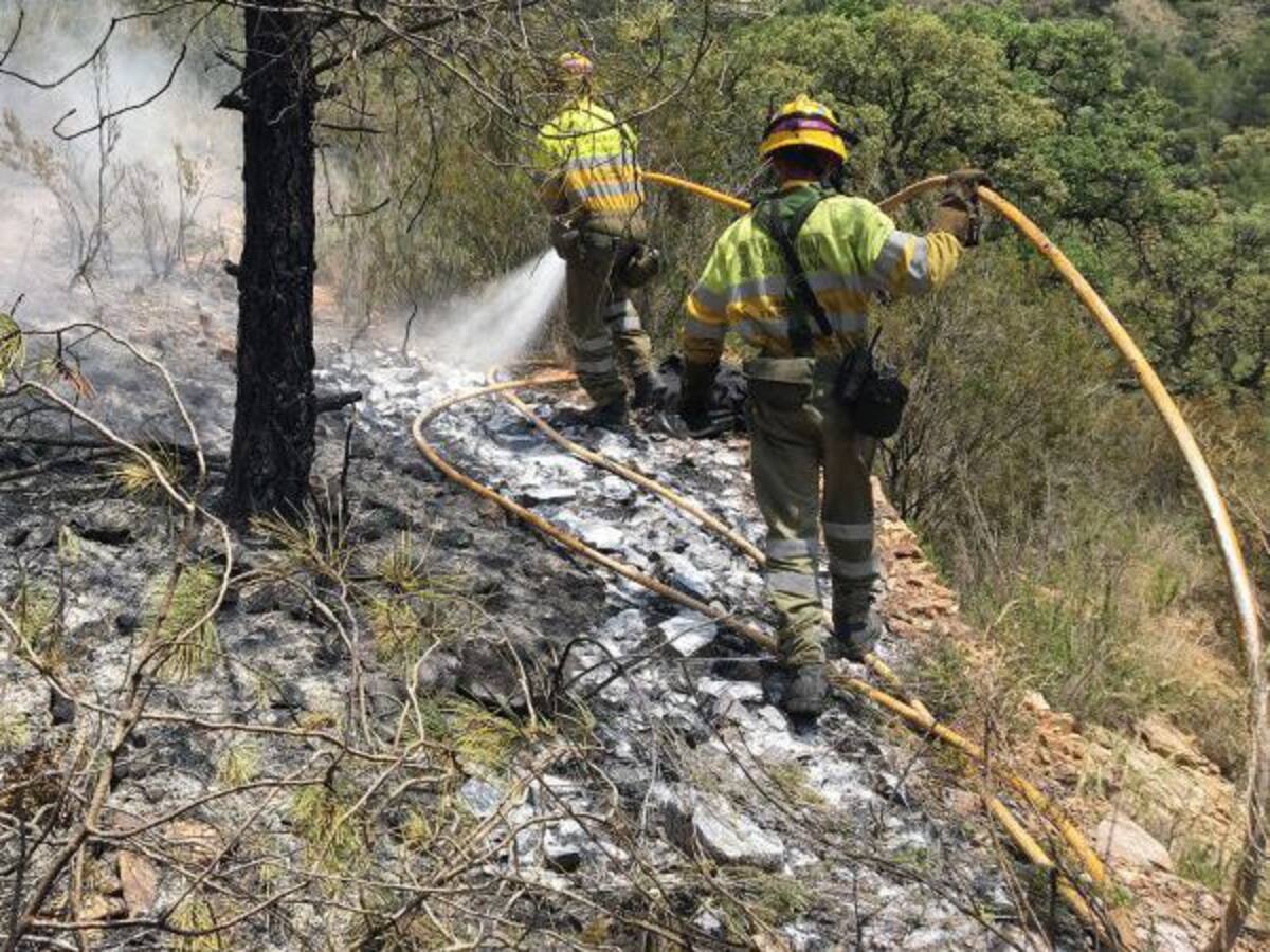 La Generalitat reclama por lo civil a un particular por un incendio forestal