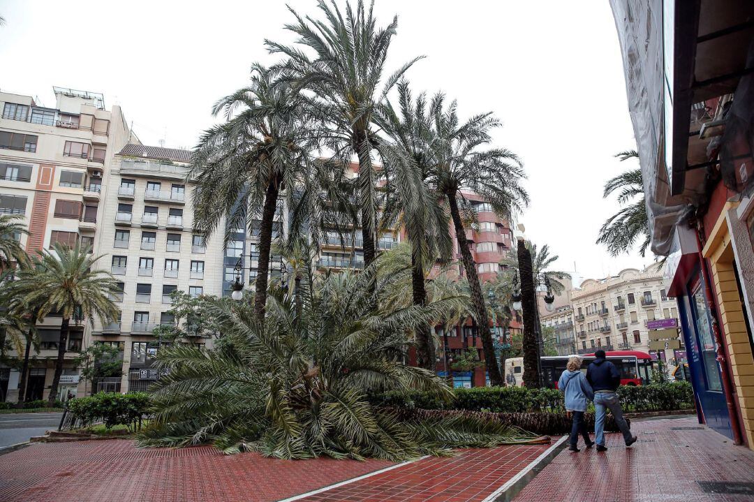 Las lluvias, el viento y los fenómenos costeros mantienen este sábado en alerta de nivel naranja, de nivel importante, a diferentes zonas de Comunidad Valenciana, Murcia y las islas Baleares. 