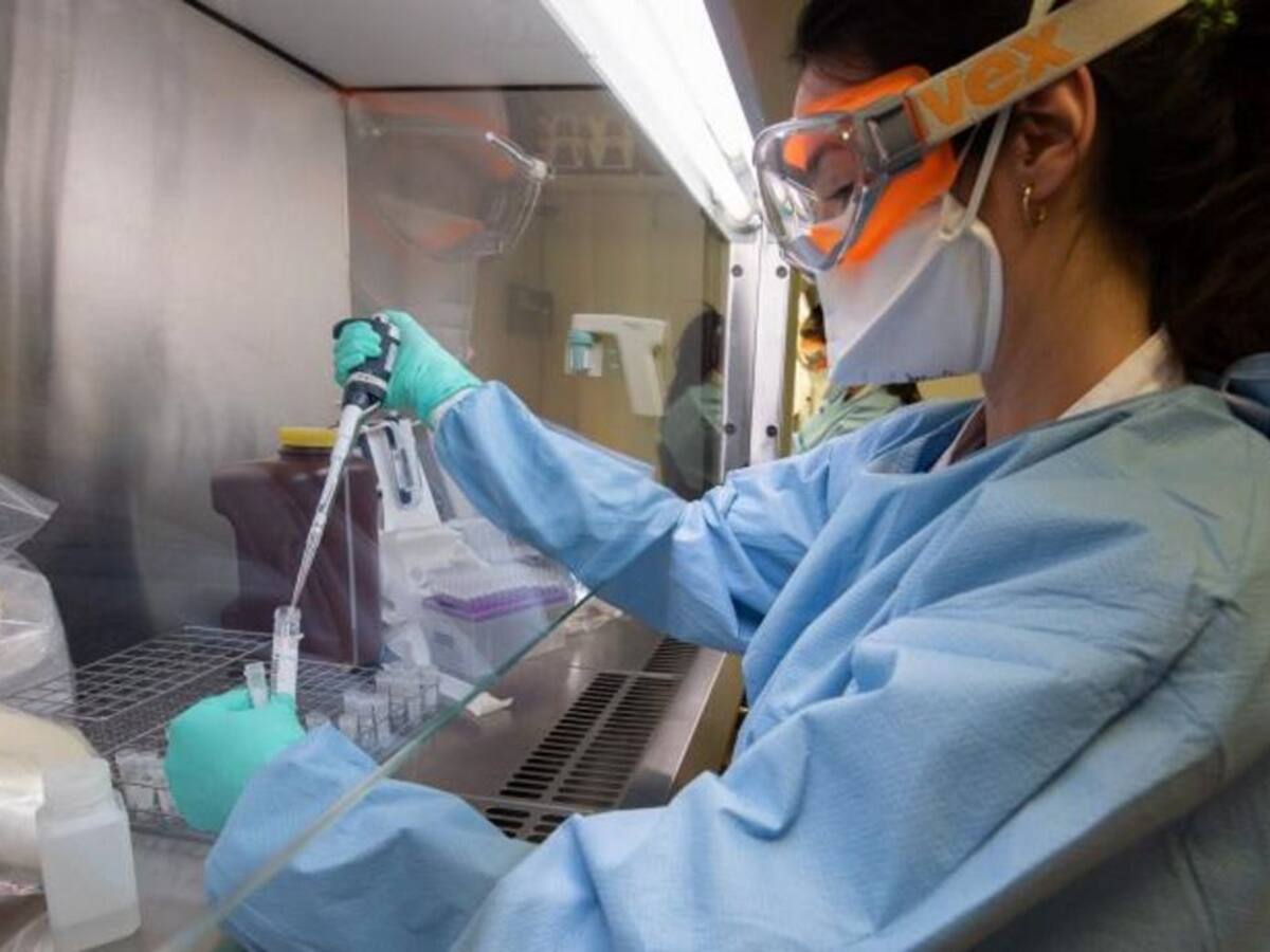 El 5% de los PCR que se realizan en Soria da positivo