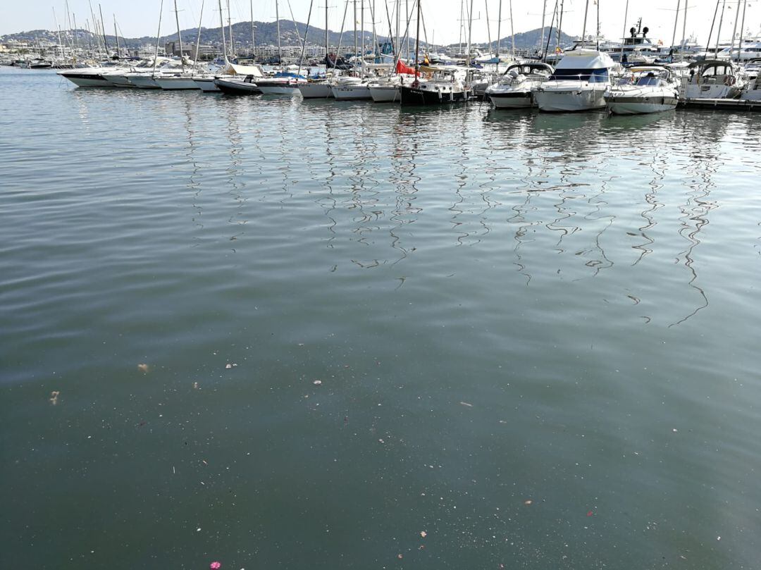 Vertido de aguas residuales en el puerto