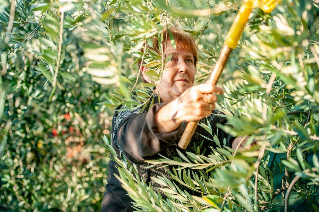 Desde UPA se insiste en la importancia de la titularidad compartida en el mundo agrícola para que 9.000 mujeres andaluzas puedan entrar a formar parte, de pleno derecho, en las explotaciones