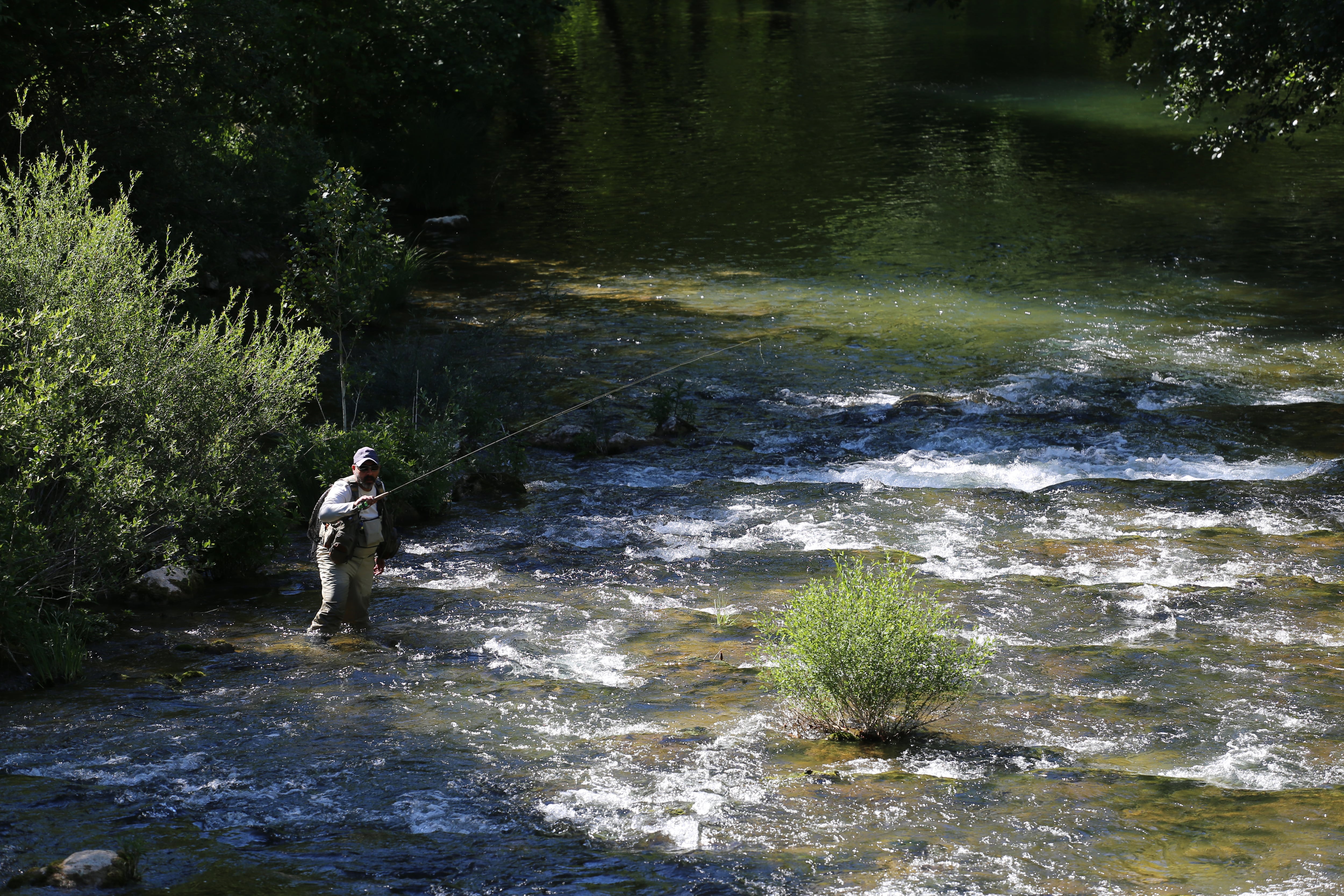 Un pescador en el río Rudrón en valdelateja (Burgos)