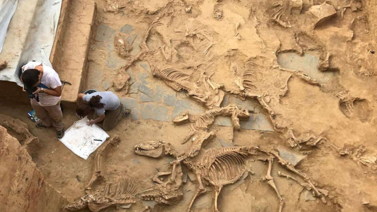 Tarteso, el enigma de la primera civilización de occidente