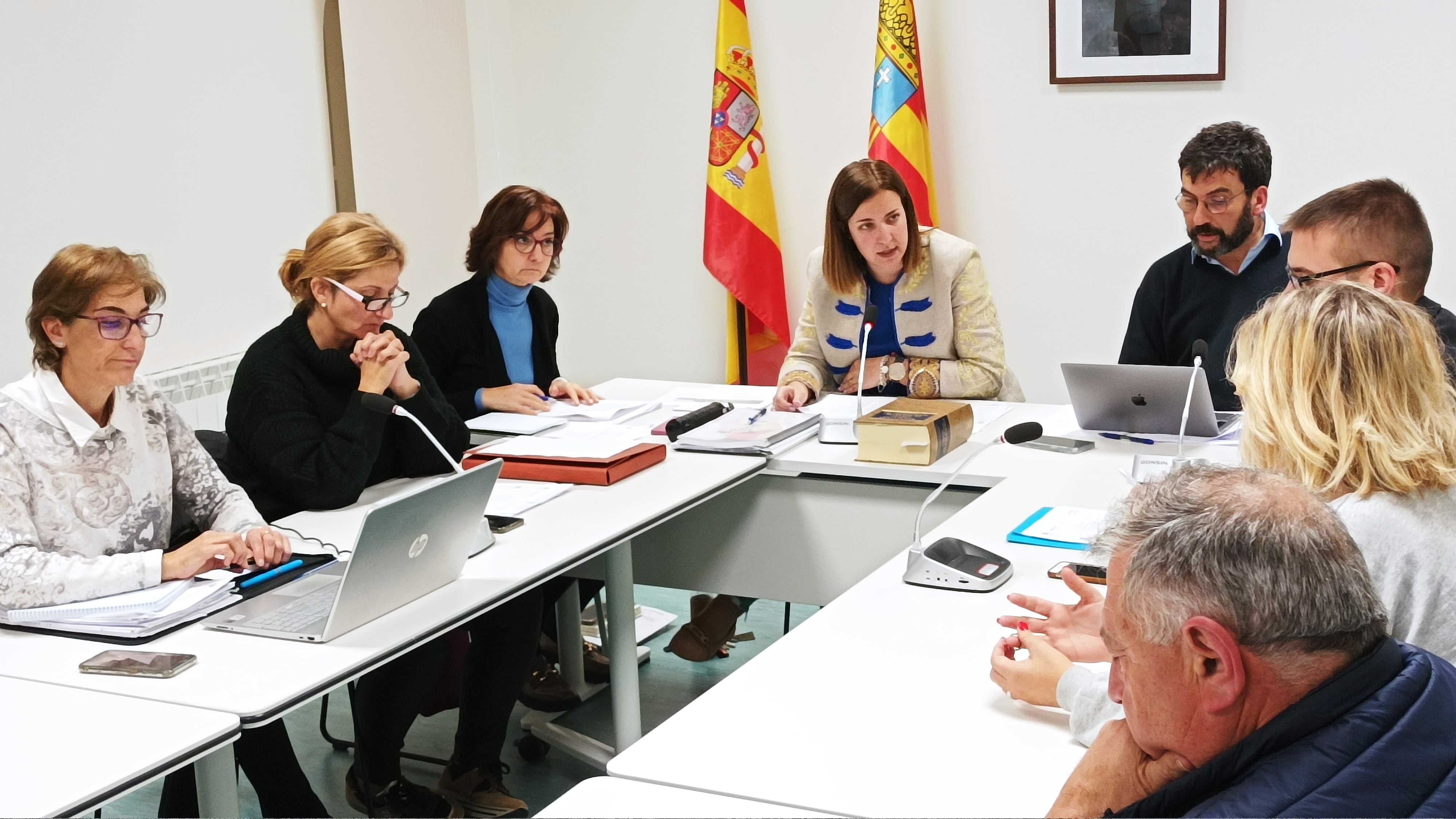 Momento del pleno de la Comarca de la Hoya de Huesca