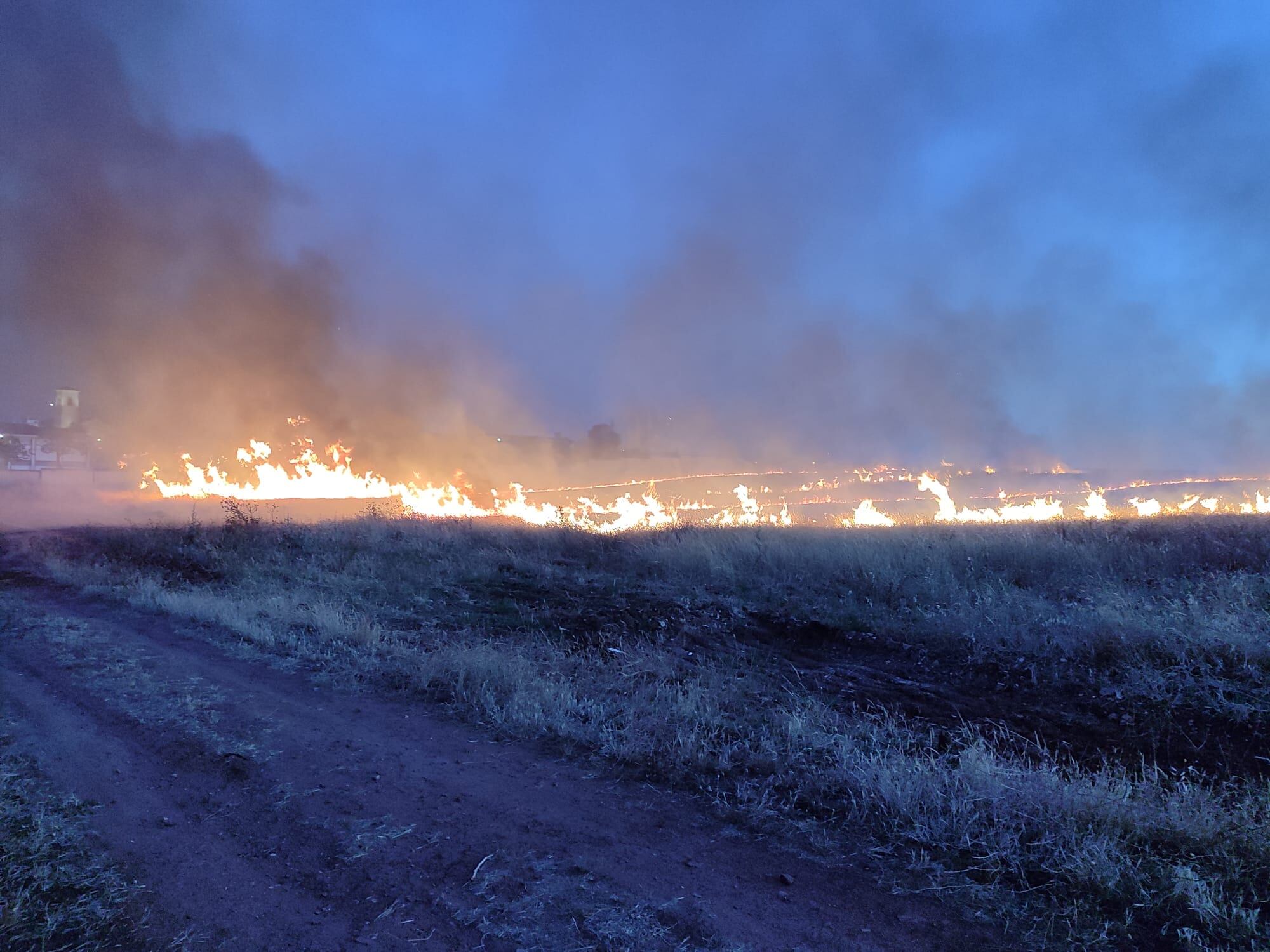 Incendio en zona de maleza de Linares.