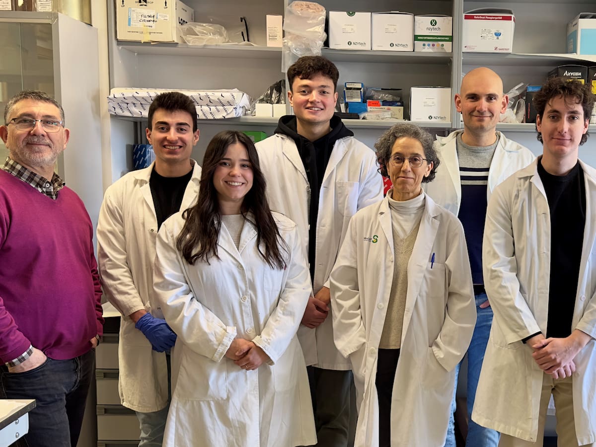 Una investigación de la UCLM abre nuevas vías terapéuticas para "un tipo de tumor con una alta prevalencia en la infancia”