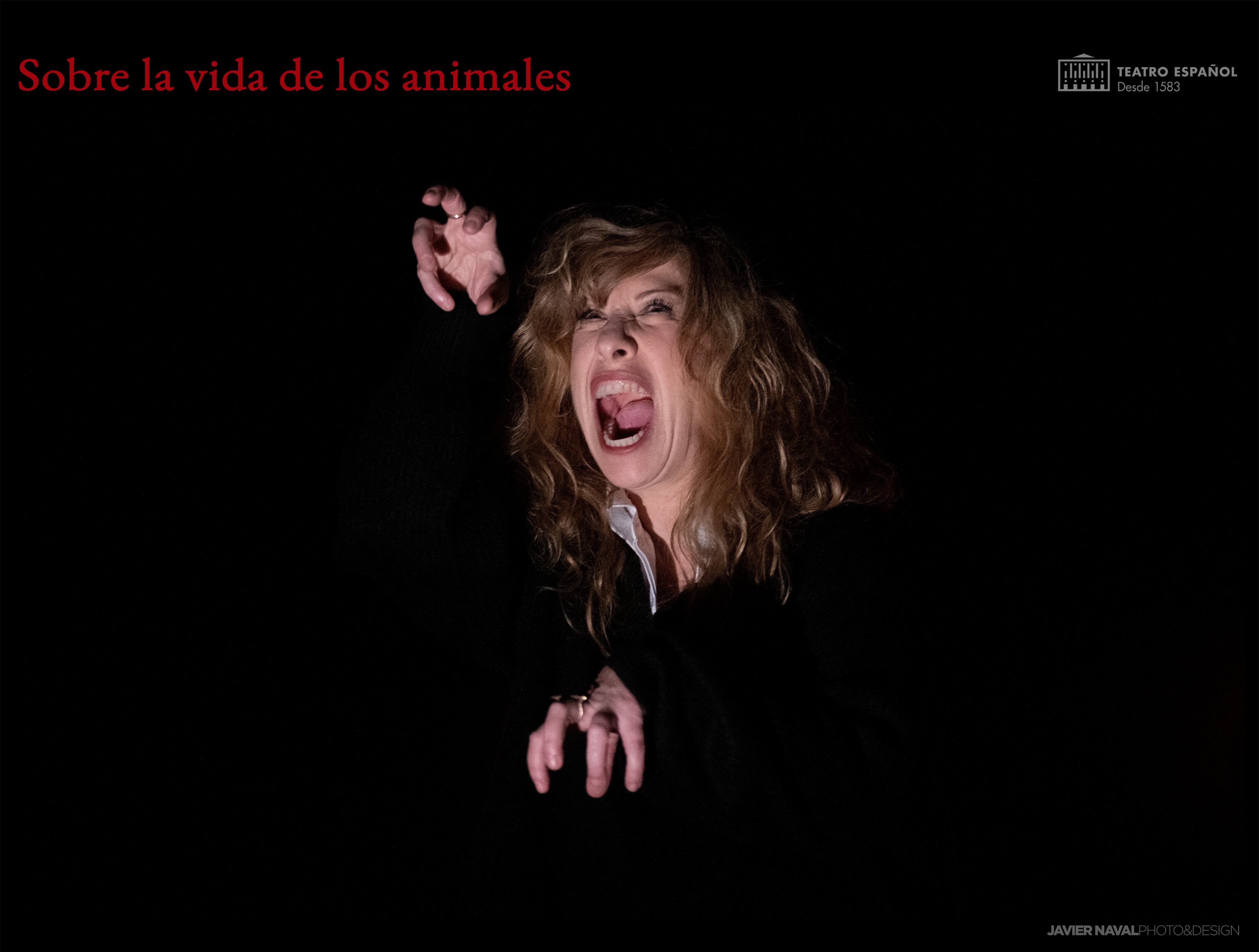 Nathalie Seseña en &#039;Sobre la vida de los animales&#039;