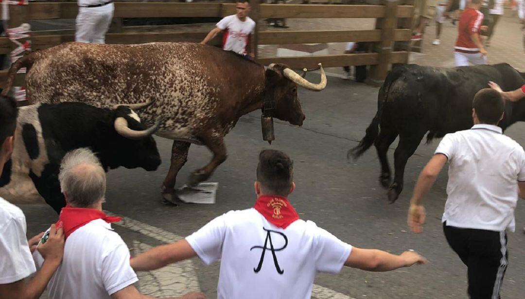 Segundo encierro Fiestas de Tudela