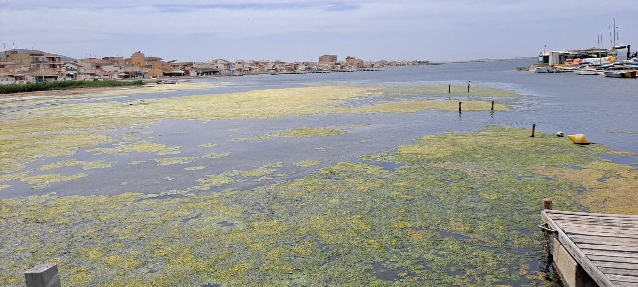 Mar Menor