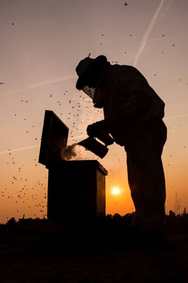 Segundo premio categoría individual.