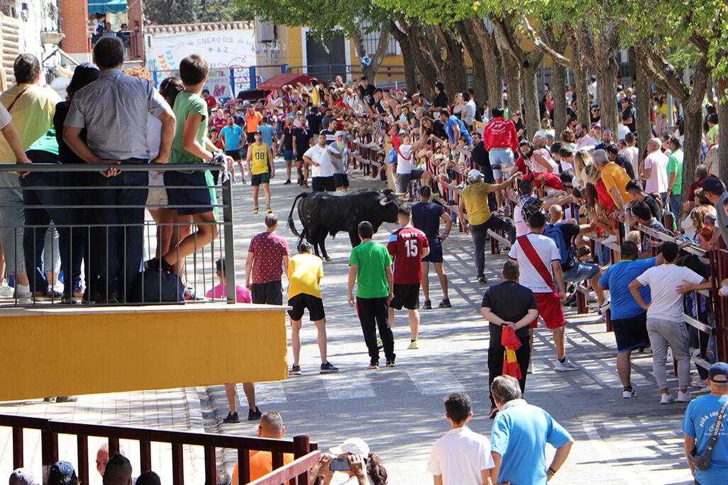 Encierros por la Avenida Doctor Fleming de Almodóvar