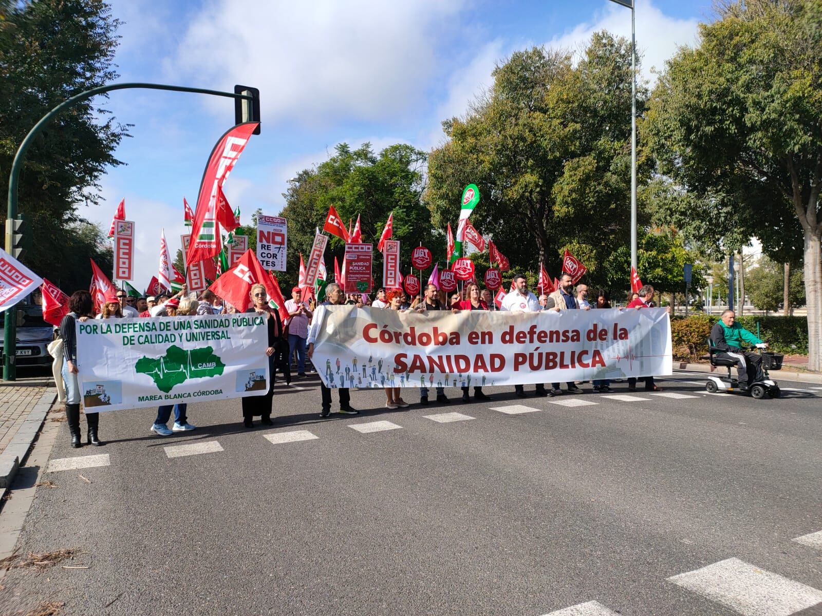 Manifestación convocada en Córdoba por las mareas blancas en defensa de la sanidad pública